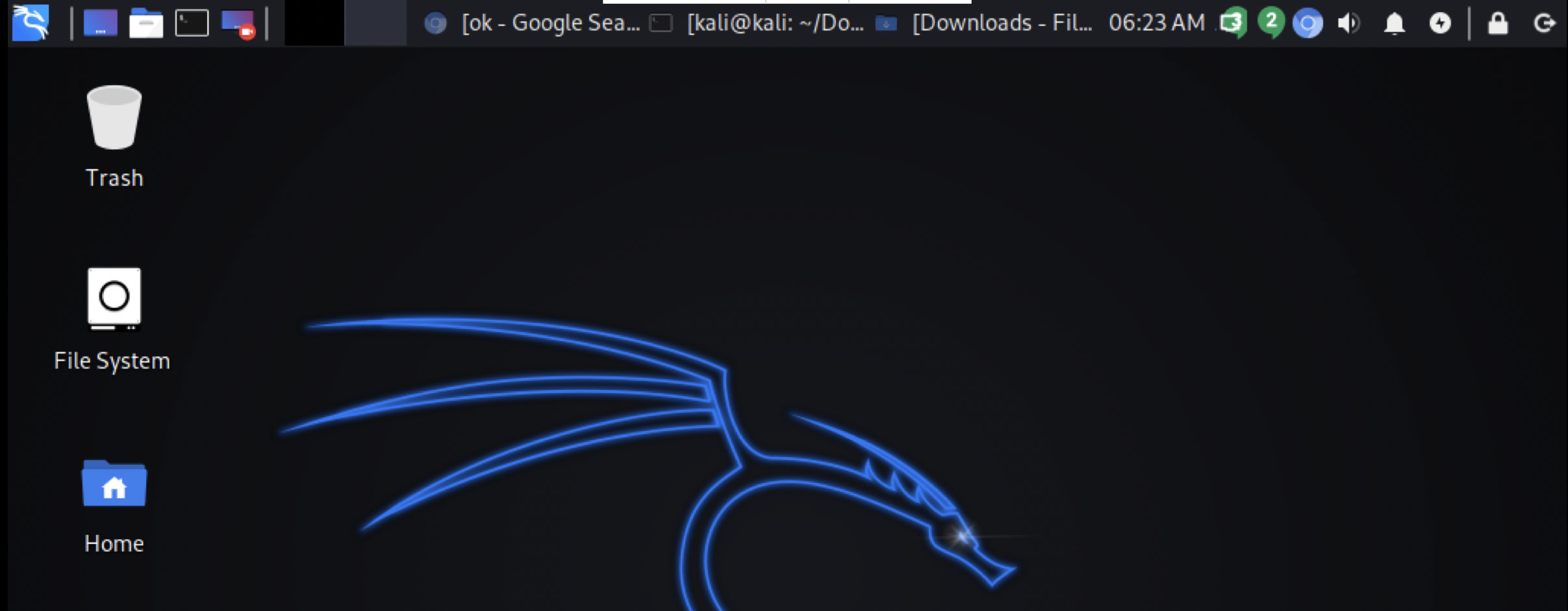 kali-on-pi-vnc.png